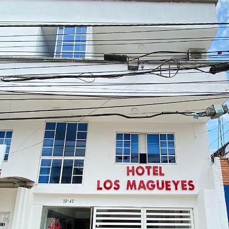 Hotel Los Magueyes بوكارامانغا المظهر الخارجي الصورة