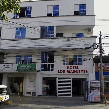 Hotel Los Magueyes بوكارامانغا المظهر الخارجي الصورة